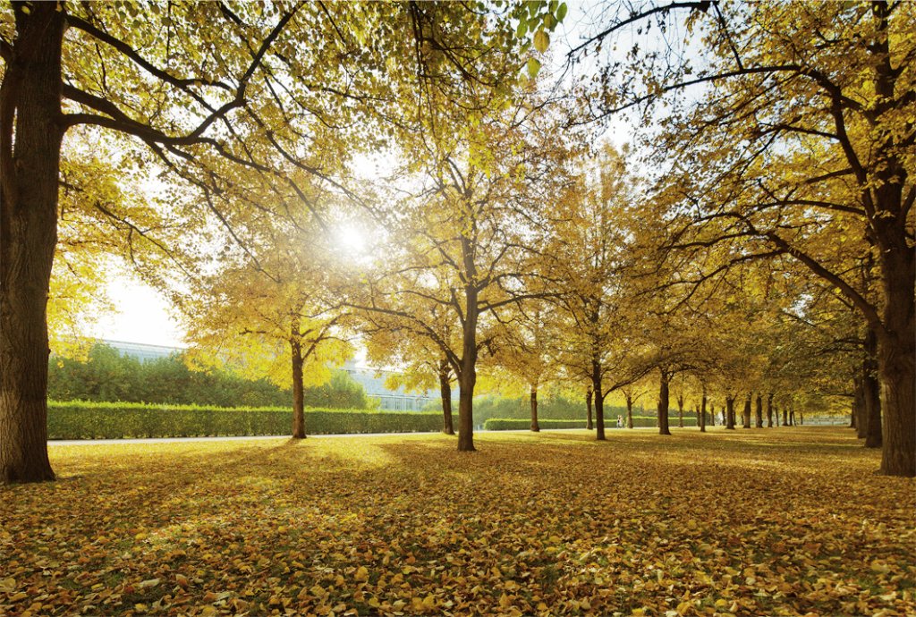 Das beste aus allen Heildisziplinen.